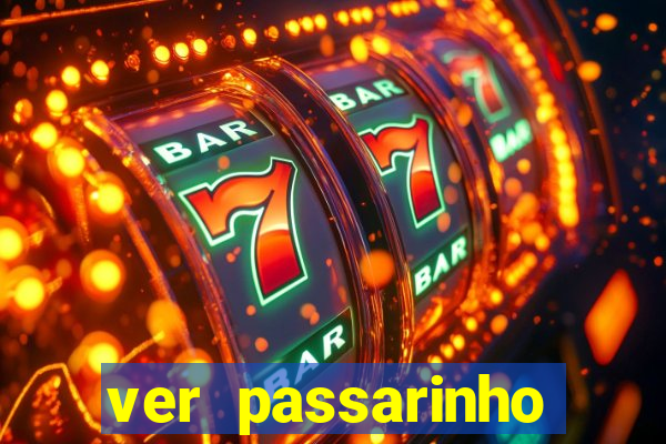 ver passarinho morto significado